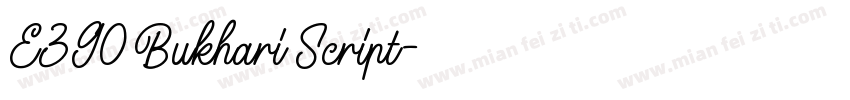 E390 Bukhari Script字体转换